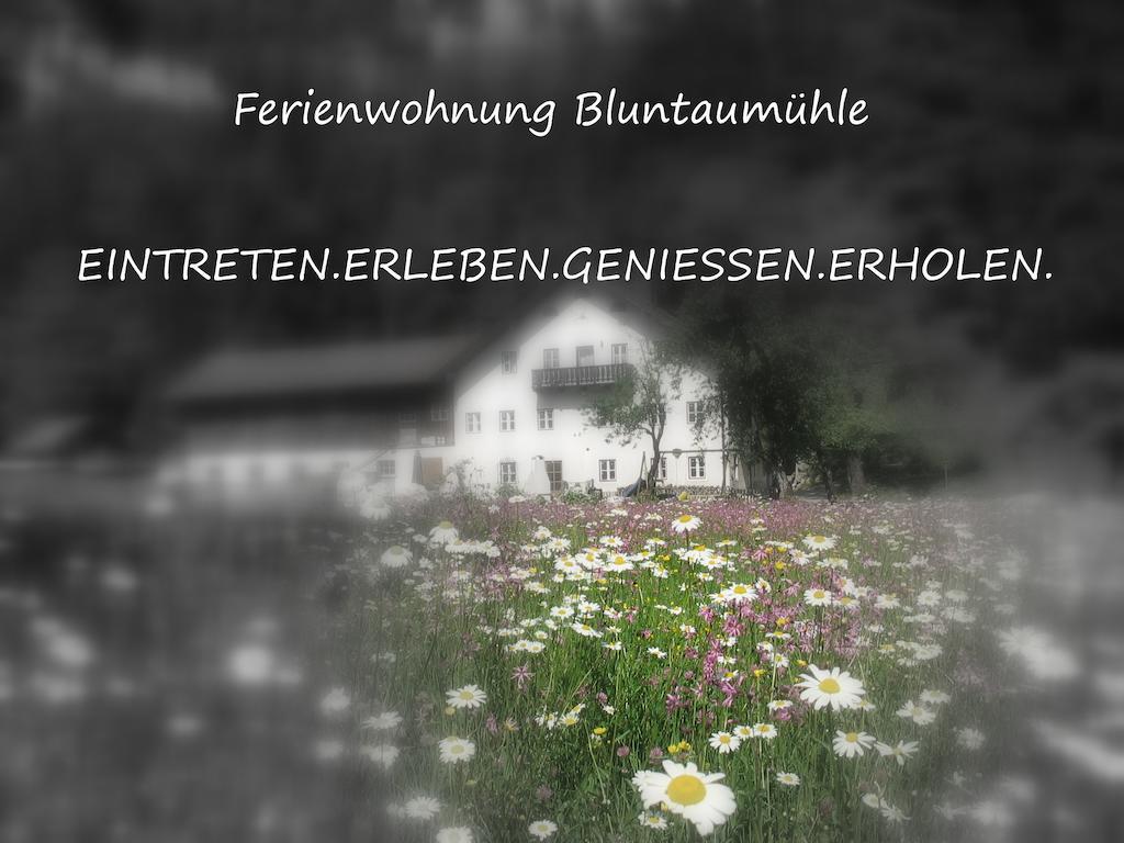 Ferienwohnung Bluntaumühle Golling an der Salzach Habitación foto
