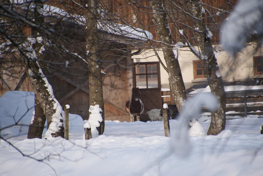 Ferienwohnung Bluntaumühle Golling an der Salzach Habitación foto
